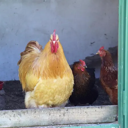 Adlerhof Apartamento Bahretal