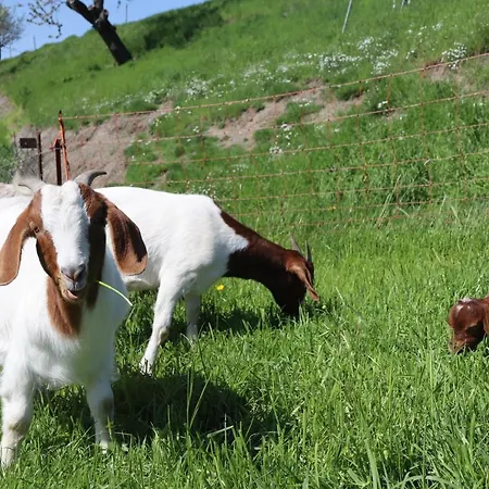 Adlerhof Apartamento Bahretal