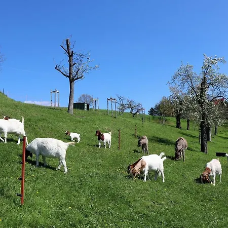 Apartamento Adlerhof *