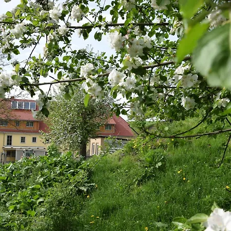 Adlerhof *
