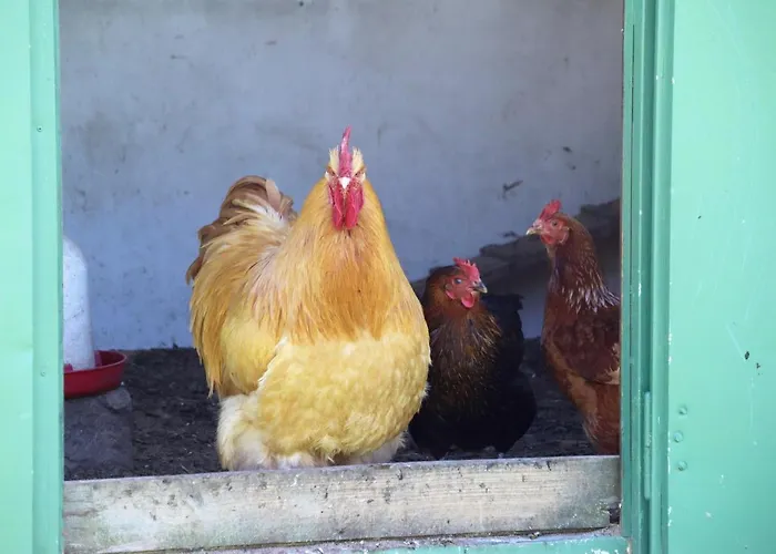 Adlerhof Apartment Bahretal