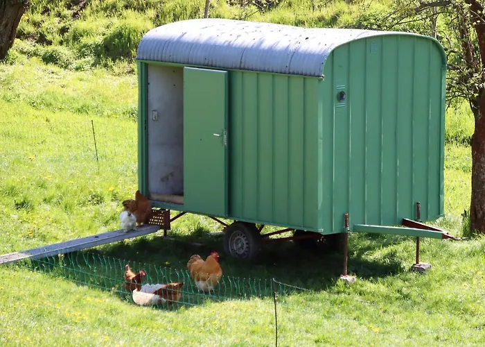 Apartment Adlerhof *