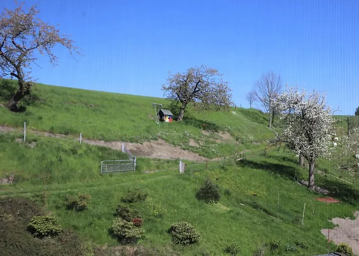 Adlerhof Apartment *