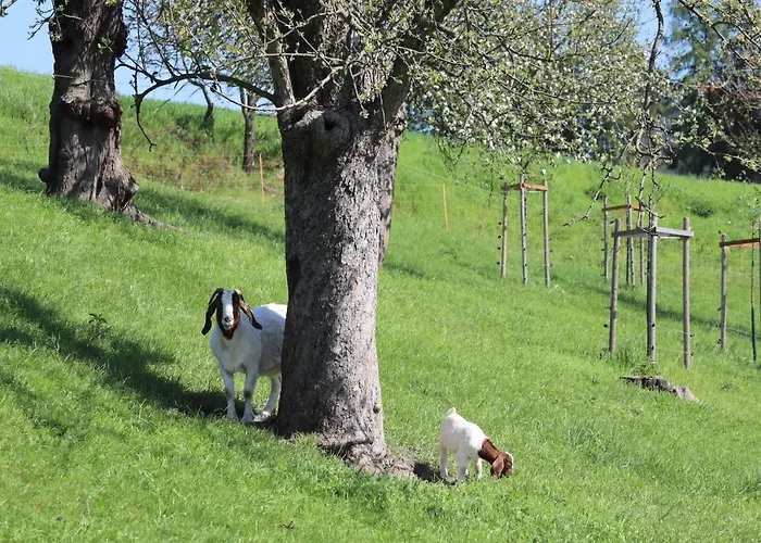 Adlerhof Apartment *